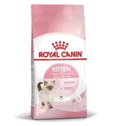Royal Canin Kitten pienso para gatos New