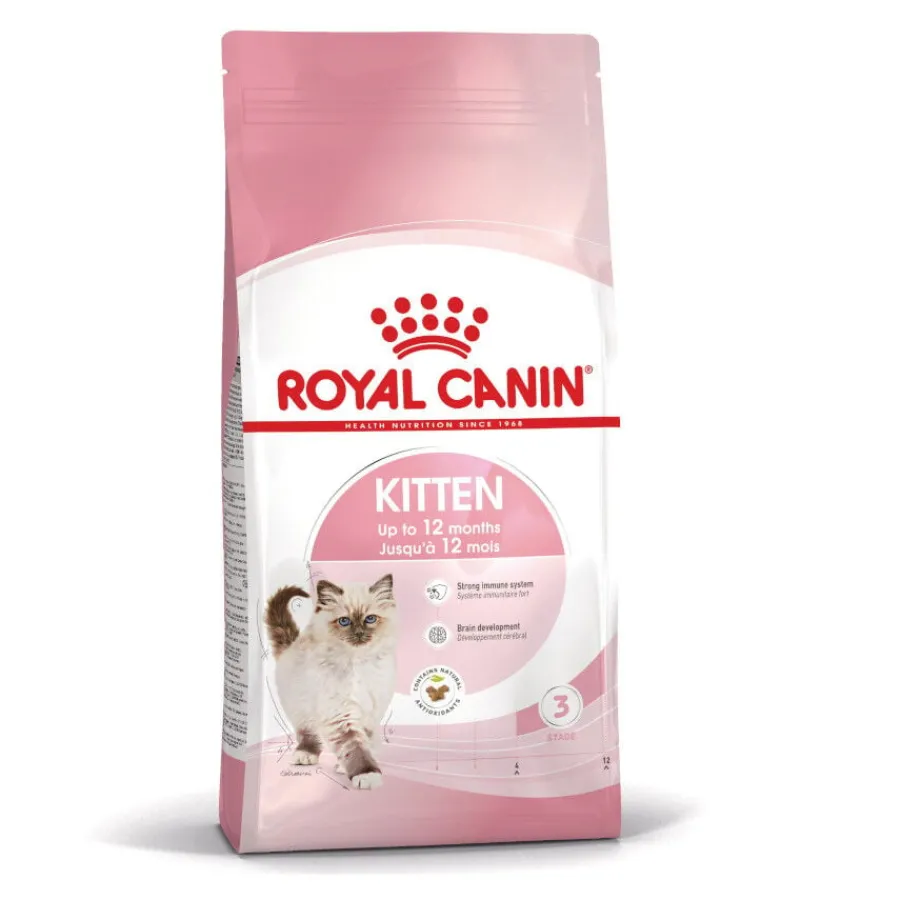 Royal Canin Kitten pienso para gatos New