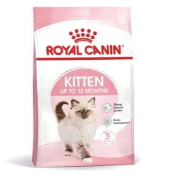 Royal Canin Kitten pienso para gatos New