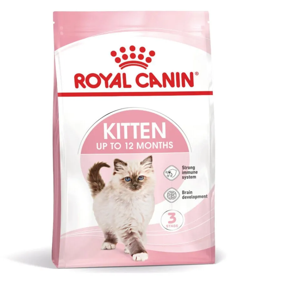 Royal Canin Kitten pienso para gatos New