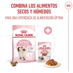 Royal Canin Kitten pienso para gatos New