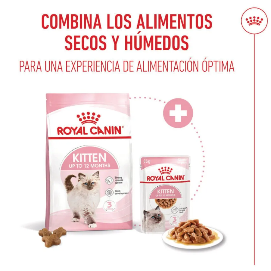 Royal Canin Kitten pienso para gatos New