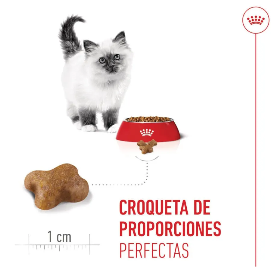 Royal Canin Kitten pienso para gatos New