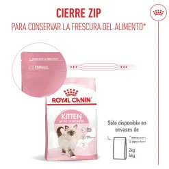 Royal Canin Kitten pienso para gatos New