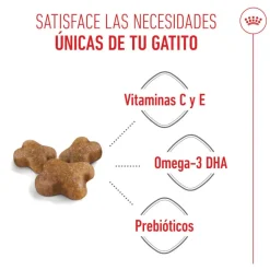 Royal Canin Kitten pienso para gatos New