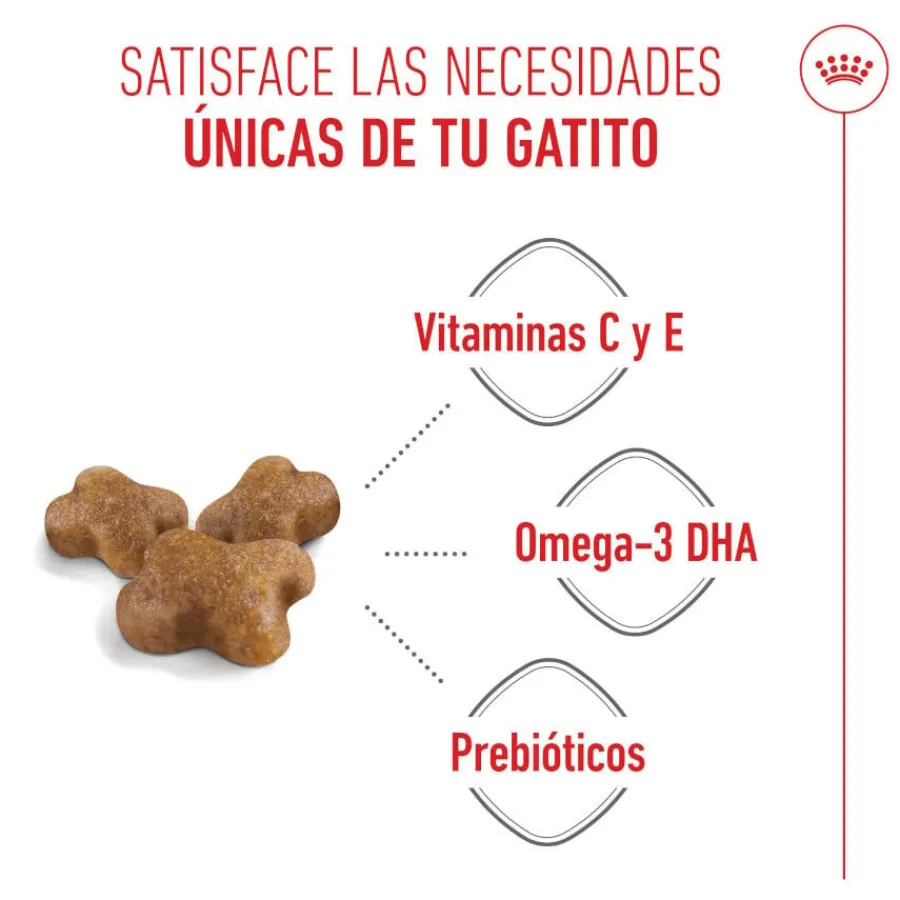 Royal Canin Kitten pienso para gatos New