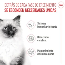 Royal Canin Kitten pienso para gatos New