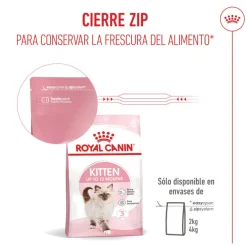 Royal Canin Kitten pienso para gatos New