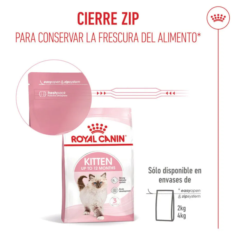 Royal Canin Kitten pienso para gatos New