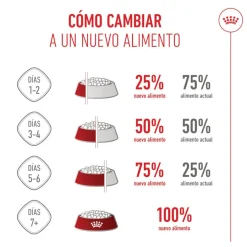 Royal Canin Kitten pienso para gatos New