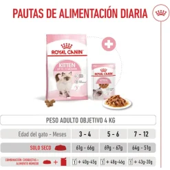 Royal Canin Kitten pienso para gatos New