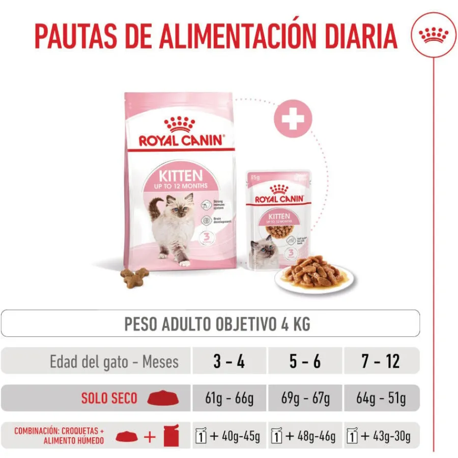 Royal Canin Kitten pienso para gatos New