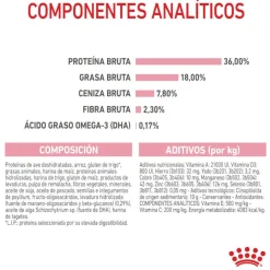 Royal Canin Kitten pienso para gatos New