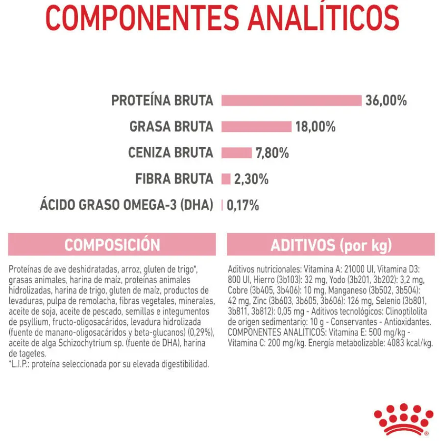 Royal Canin Kitten pienso para gatos New