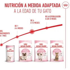 Royal Canin Kitten pienso para gatos New