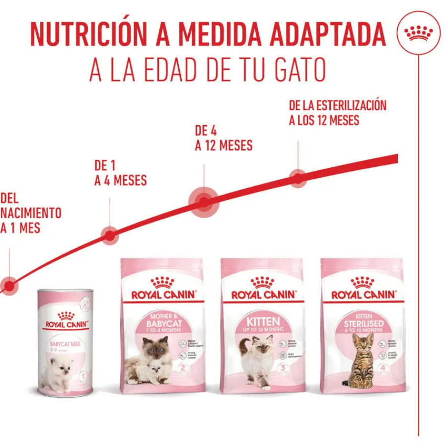 Royal Canin Kitten pienso para gatos New