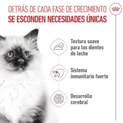 Royal Canin Kitten sobre en salsa para gatos