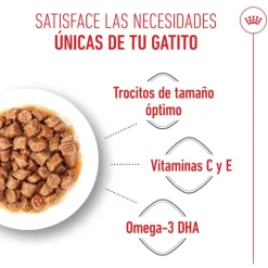 Royal Canin Kitten sobre en salsa para gatos