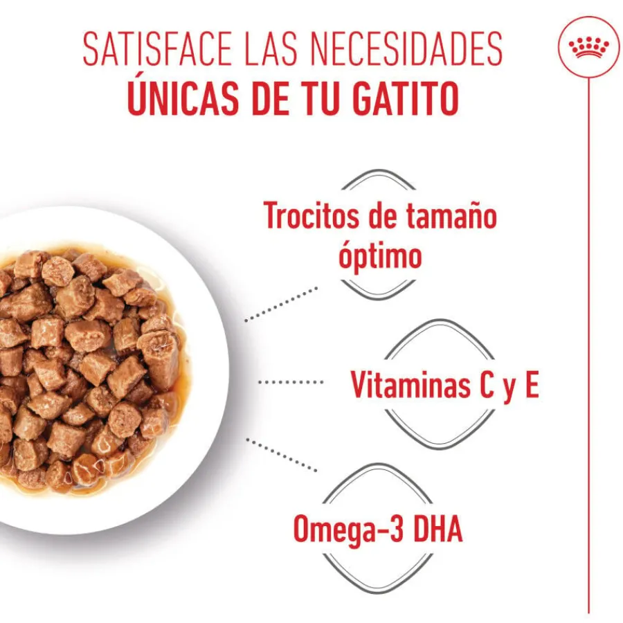 Royal Canin Kitten sobre en salsa para gatos