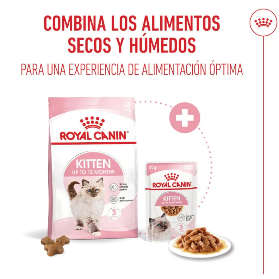 Royal Canin Kitten sobre en salsa para gatos