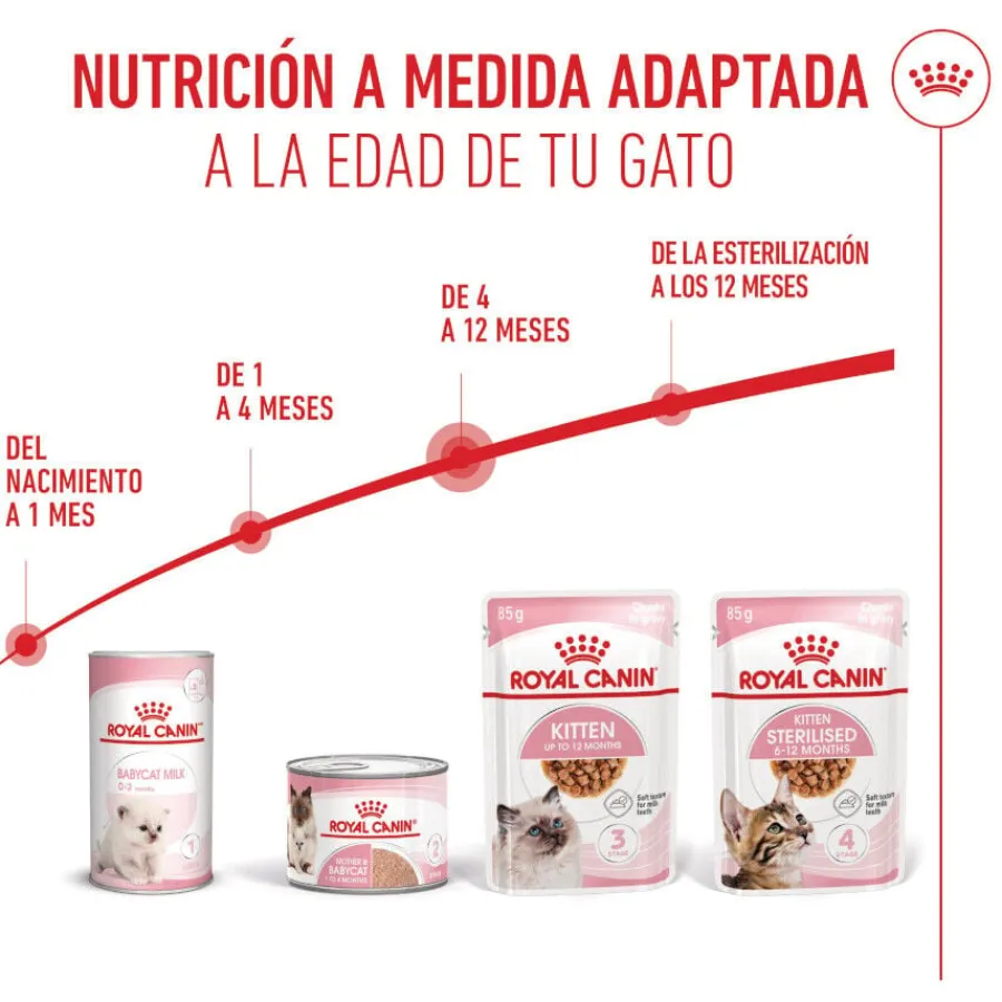 Royal Canin Kitten sobre en salsa para gatos