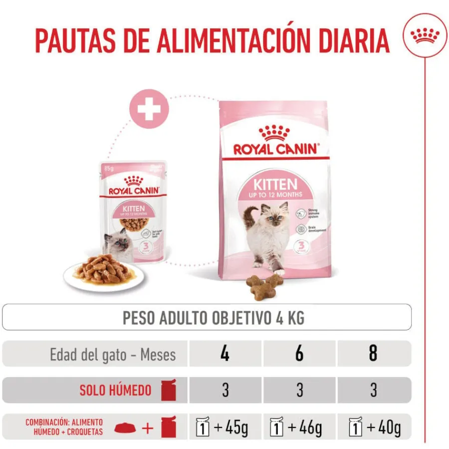 Royal Canin Kitten sobre en salsa para gatos