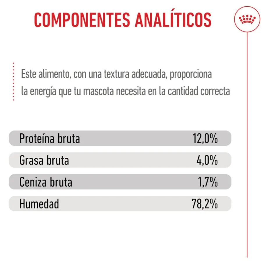 Royal Canin Kitten sobre en salsa para gatos