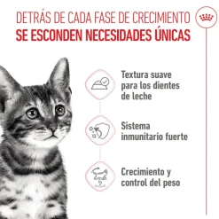 Royal Canin Kitten Sterilised salsa sobre para gatos Online