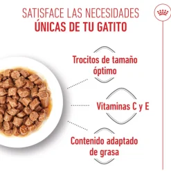 Royal Canin Kitten Sterilised salsa sobre para gatos Online