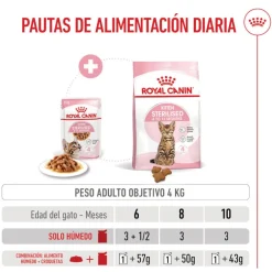 Royal Canin Kitten Sterilised salsa sobre para gatos Online