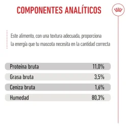 Royal Canin Kitten Sterilised salsa sobre para gatos Online