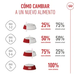 Royal Canin Kitten Sterilised pienso para gatos Online