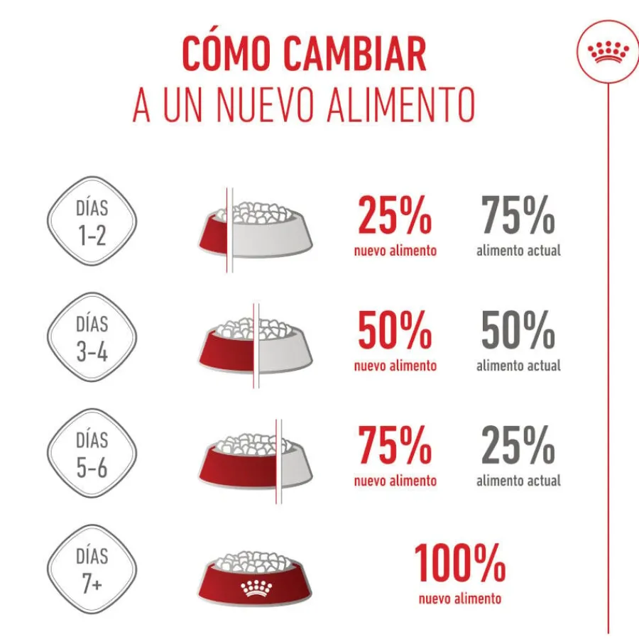 Royal Canin Kitten Sterilised pienso para gatos Online