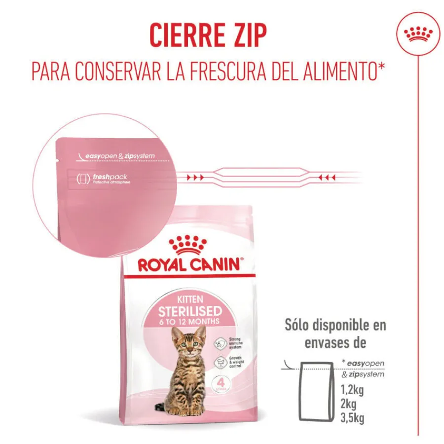 Royal Canin Kitten Sterilised pienso para gatos Online