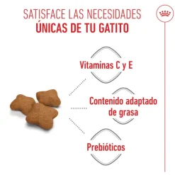 Royal Canin Kitten Sterilised pienso para gatos Online