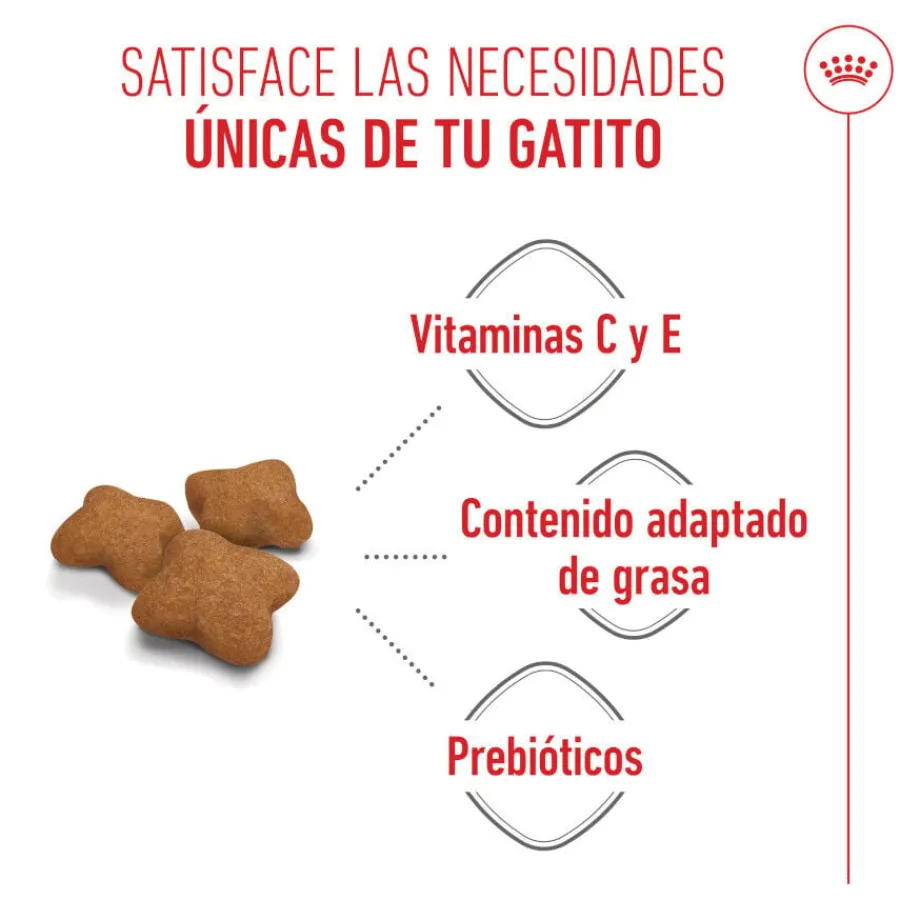 Royal Canin Kitten Sterilised pienso para gatos Online