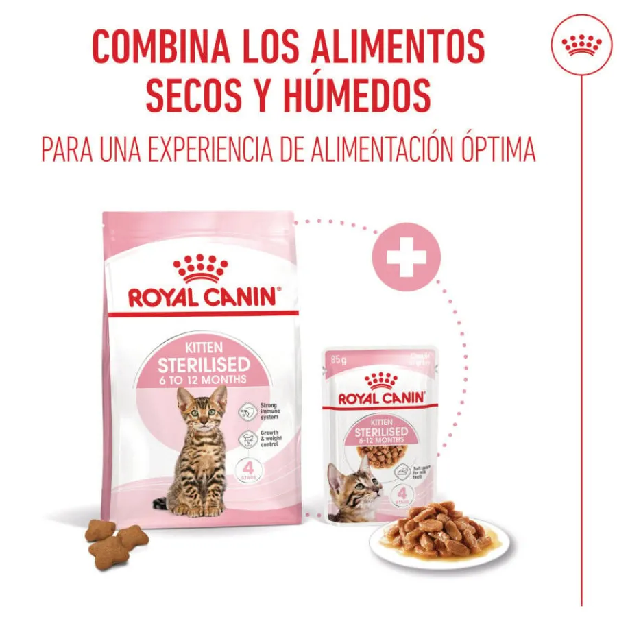 Royal Canin Kitten Sterilised pienso para gatos Online