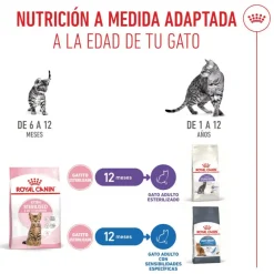 Royal Canin Kitten Sterilised pienso para gatos Online