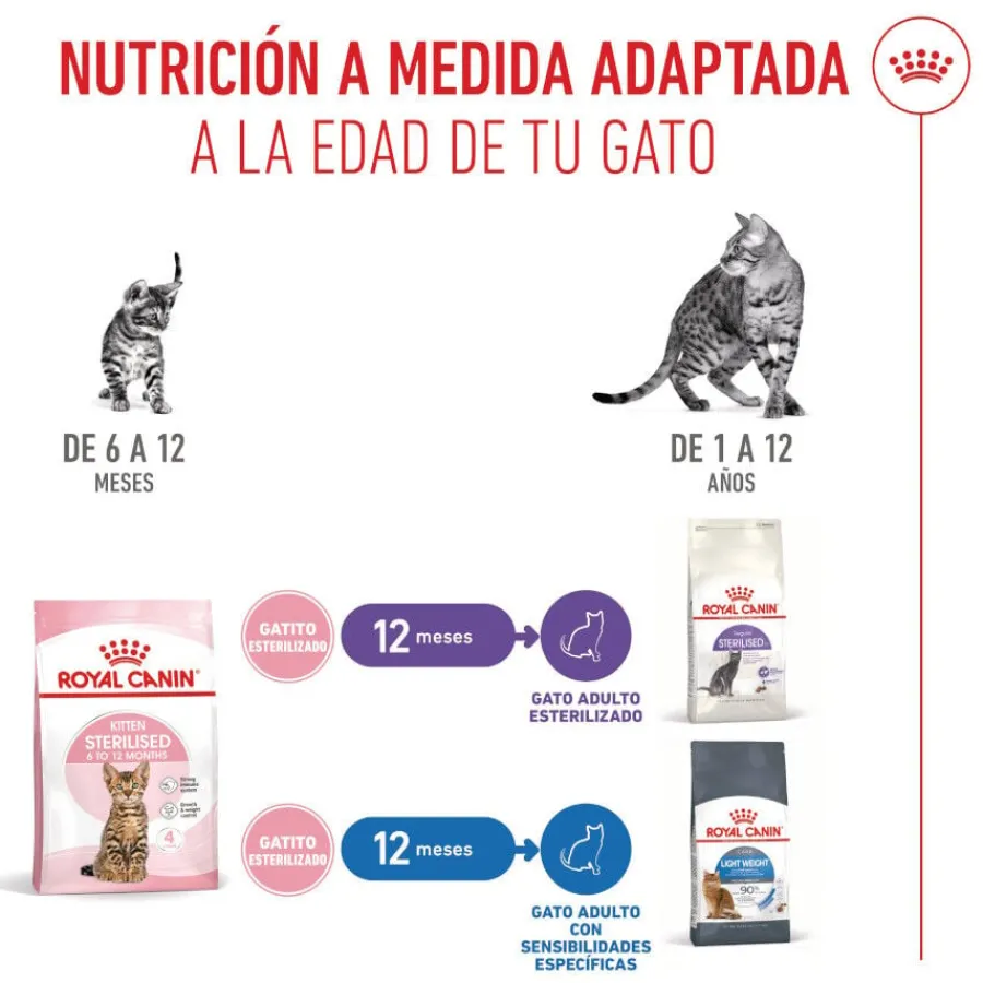 Royal Canin Kitten Sterilised pienso para gatos Online