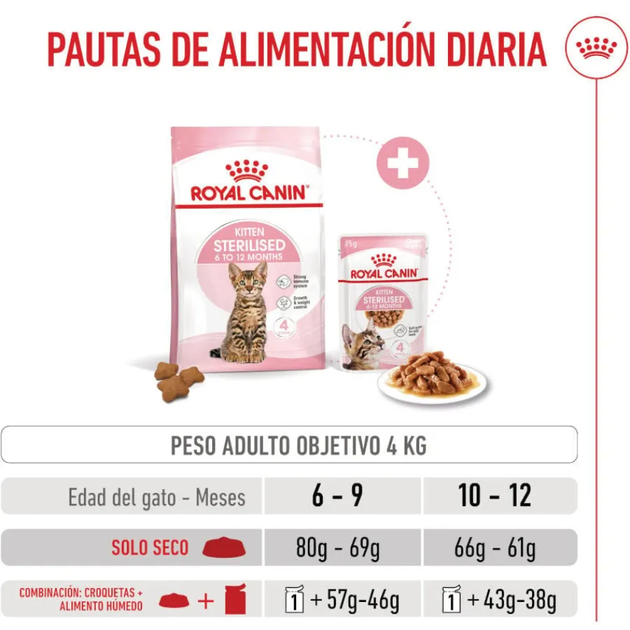 Royal Canin Kitten Sterilised pienso para gatos Online