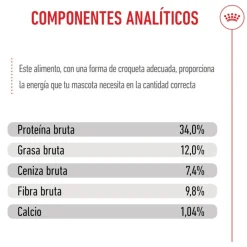 Royal Canin Kitten Sterilised pienso para gatos Online