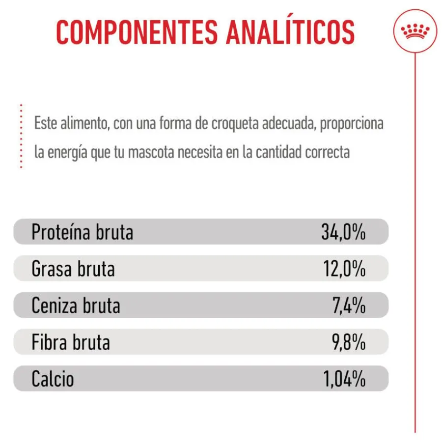 Royal Canin Kitten Sterilised pienso para gatos Online