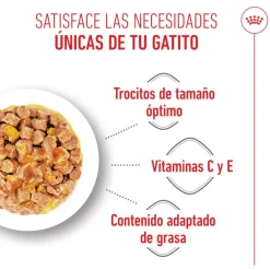 Royal Canin Kitten Sterilised gelatina para gatos Sale