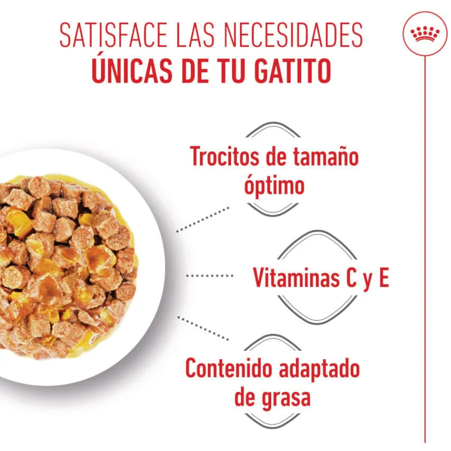 Royal Canin Kitten Sterilised gelatina para gatos Sale