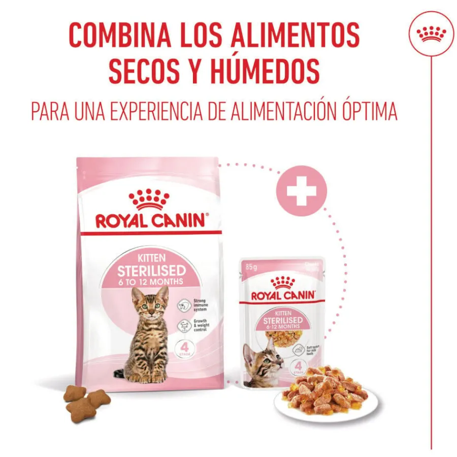 Royal Canin Kitten Sterilised gelatina para gatos Sale