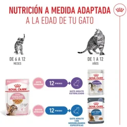 Royal Canin Kitten Sterilised gelatina para gatos Sale