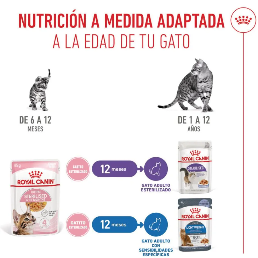 Royal Canin Kitten Sterilised gelatina para gatos Sale