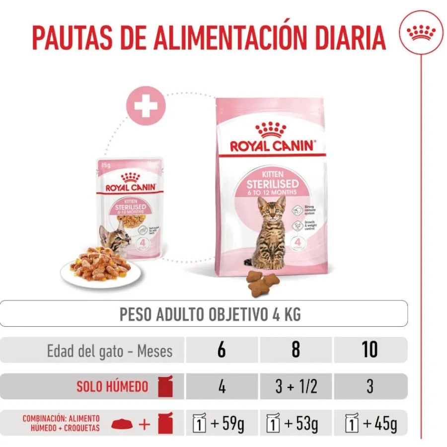 Royal Canin Kitten Sterilised gelatina para gatos Sale