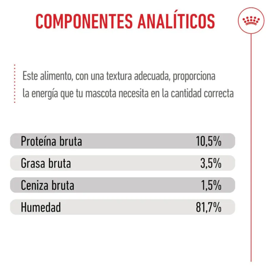 Royal Canin Kitten Sterilised gelatina para gatos Sale