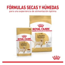 Royal Canin Labrador Sobres para perros